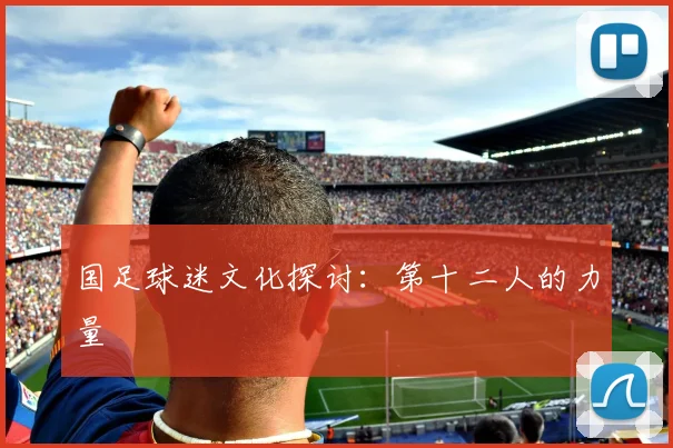国足球迷文化探讨：第十二人的力量